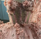 Blush Pink Flowers Applique Ball Gown,A Line Tulle Prom Dresses,Quinceanera Dresses Y388 by simplepromdress