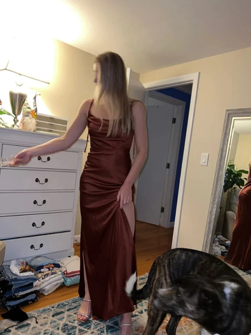 Woman in a satin brown dress with thigh-high slit, standing in bedroom with dog, ZAPDRESS