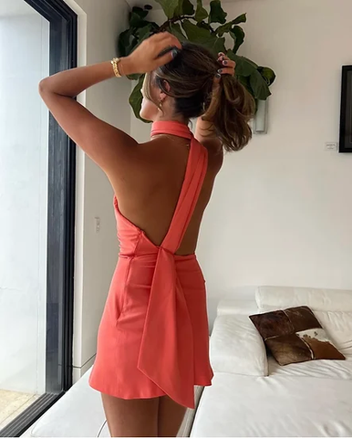 Chic Halter Neckline Homecoming Dress Party Dress Y2769