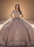 Off Shoulder Beaded Fringe Quinceanera Ball Gown in Rose (ZD17555)