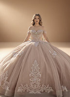 Off Shoulder Beaded Fringe Quinceanera Ball Gown in Rose (ZD17555)