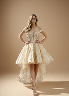 Off Shoulder Quinceanera Ball Gown with Removable Tiered Skirt (ZD17558)