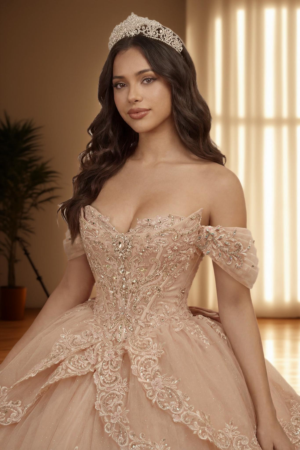 Off Shoulder Embroidered Applique Quinceanera Ball Gown (ZD17563)