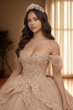 Off Shoulder Embroidered Applique Quinceanera Ball Gown (ZD17563)