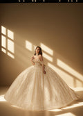 3D Floral Off Shoulder Quinceanera Ball Gown with Beaded Fringe (ZD17567)