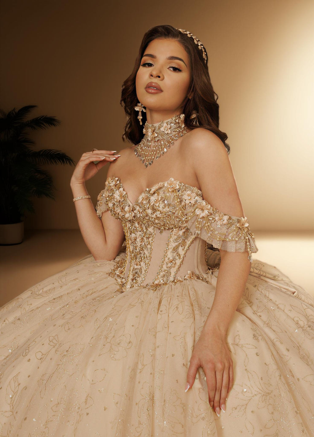 3D Floral Off Shoulder Quinceanera Ball Gown with Beaded Fringe (ZD17567)