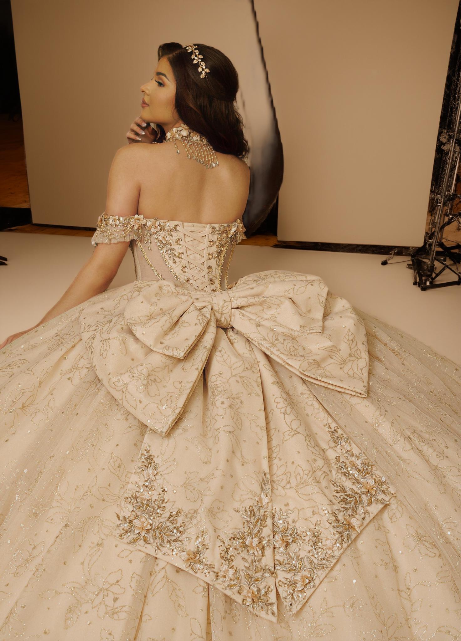 3D Floral Off Shoulder Quinceanera Ball Gown with Beaded Fringe (ZD17567)