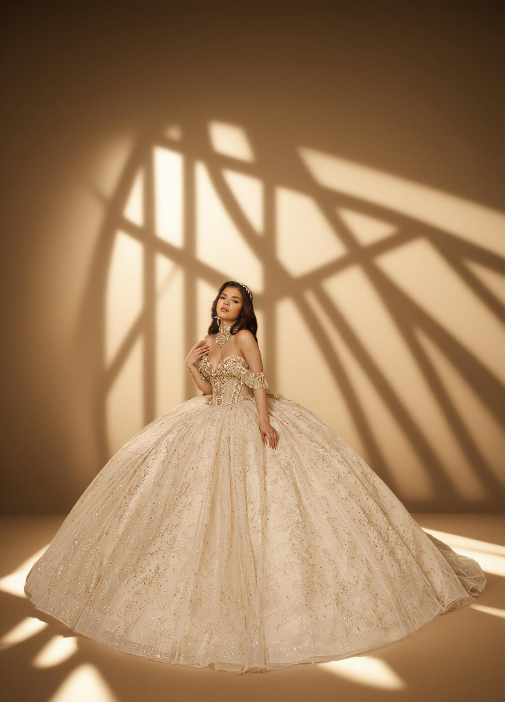 3D Floral Off Shoulder Quinceanera Ball Gown with Beaded Fringe (ZD17567)