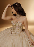 3D Floral Off Shoulder Quinceanera Ball Gown with Beaded Fringe (ZD17567)