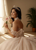 3D Floral Off Shoulder Quinceanera Ball Gown with Beaded Fringe (ZD17567)