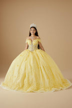 Yellow 3D Floral Off Shoulder Quinceanera Dress Beaded Glitter Tulle Ball Gown (ZD17595)