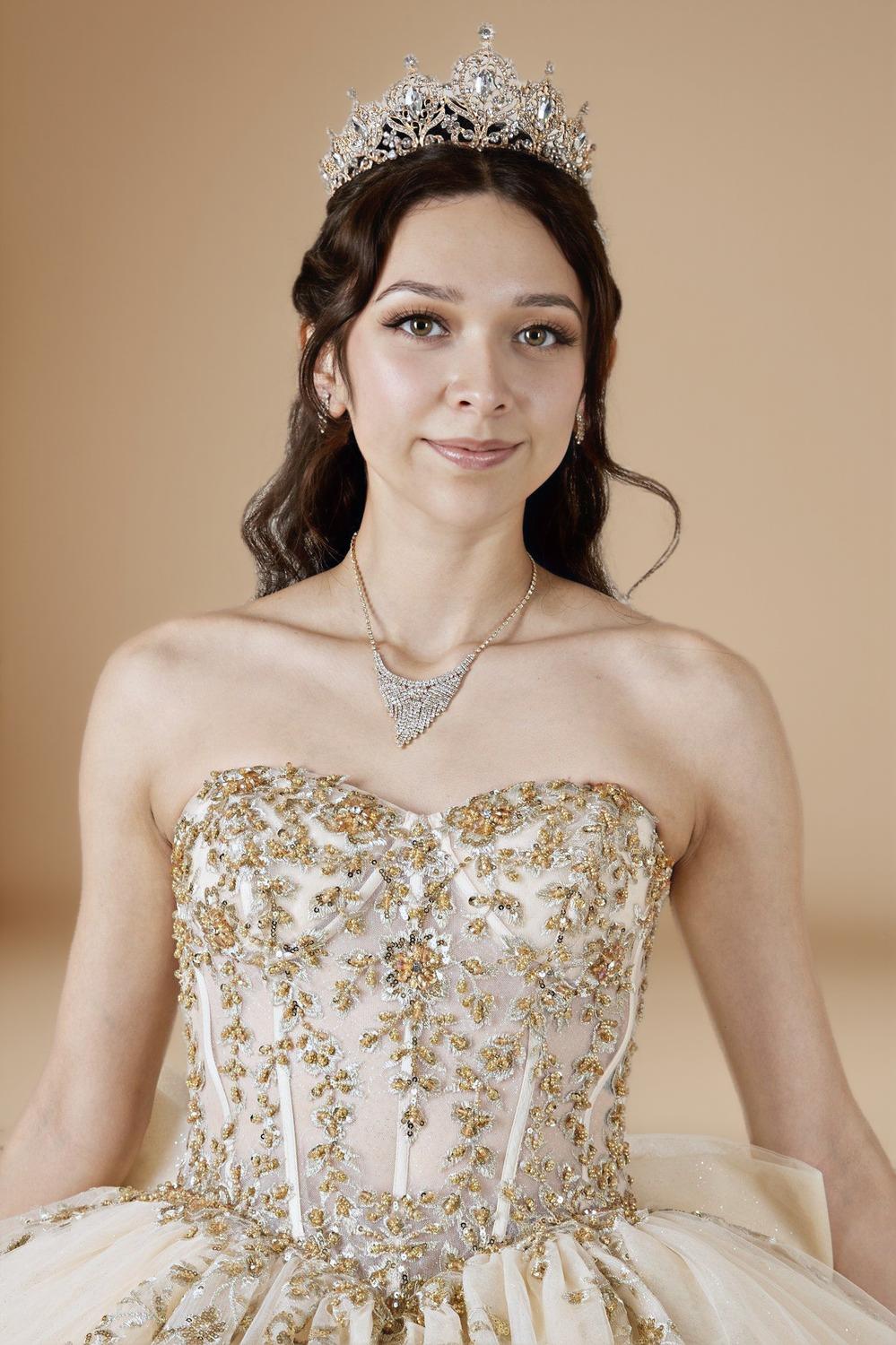 Silver Strapless Applique Quinceanera Dress Sequin Embroidered Glitter Tulle Ball Gown (ZD17596)
