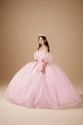 Blush Pink Puff Sleeve Quinceanera Dress 3D Floral Glitter Tulle Ball Gown (ZD17597)