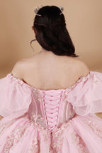 Blush Pink Puff Sleeve Quinceanera Dress 3D Floral Glitter Tulle Ball Gown (ZD17597)