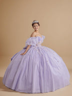 Blush Pink Puff Sleeve Quinceanera Dress 3D Floral Glitter Tulle Ball Gown (ZD17597)