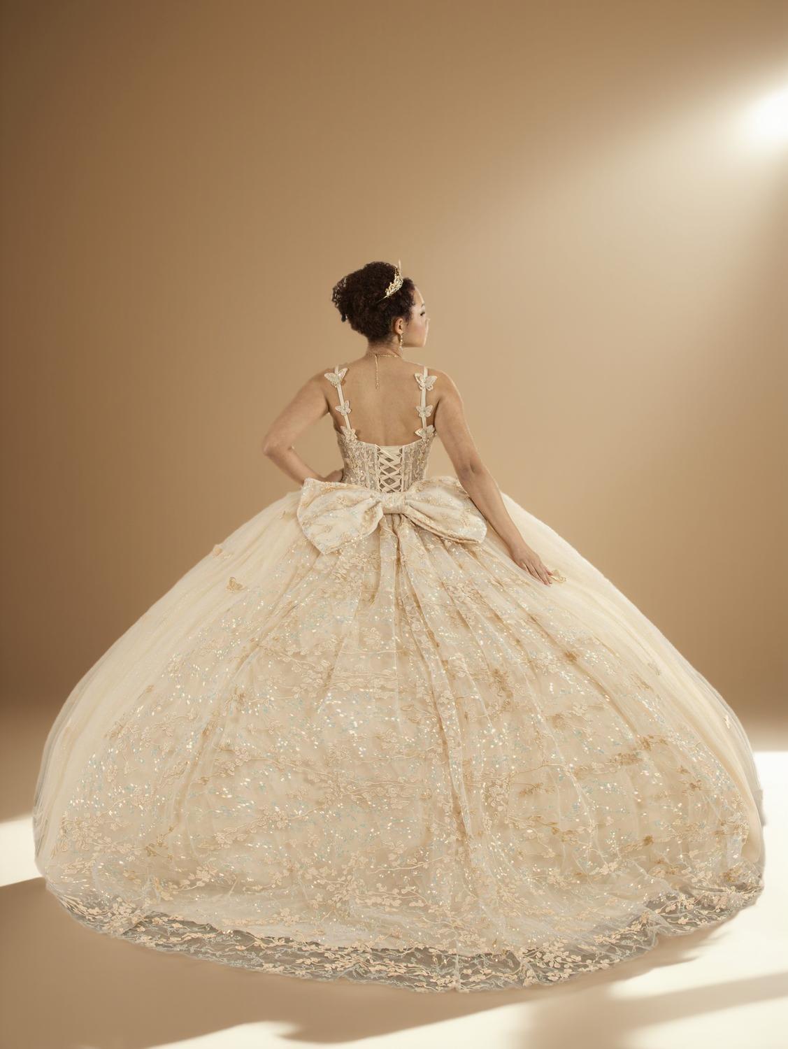 Champagne Sleeveless Quinceanera Dress Butterfly Straps Lace Applique Glitter Ball Gown (ZD17599)