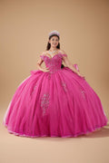 Fuchsia 3D Butterfly Off Shoulder Quinceanera Dress Glitter Tulle Ball Gown (ZD17602)