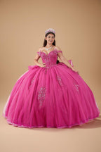 Fuchsia 3D Butterfly Off Shoulder Quinceanera Dress Glitter Tulle Ball Gown (ZD17602)