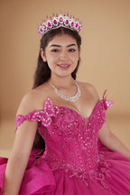 Fuchsia 3D Butterfly Off Shoulder Quinceanera Dress Glitter Tulle Ball Gown (ZD17602)