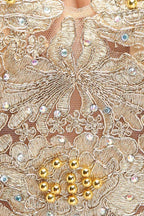 A-Line V-neck Plus size Long Sleeveless Evening Dresses with Appliques by misshow.com