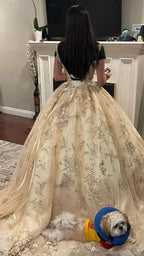 Luxurious Champagne V Neck Quinceanera Dress Princess Dress Champagne Ball Gown Y593 by simplepromdress