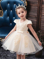 Ball Gown Tulle Short Sleeve V Neck Wedding Party Flower Girl Dresses - photo 1