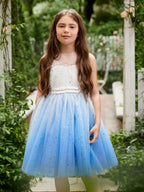 Ball-Gown/Princess Tulle Knee-length Blue Flower Girl Dress - photo 5