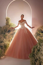 Beautiful Ball Gown Tulle Lace Sweetheart Long Sleeve Prom Dresses With Beading by misshow.com