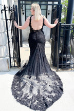 Charming Black Long Mermaid V-neck Lace Tulle Open Back Prom Dress by BIZTUNNEL