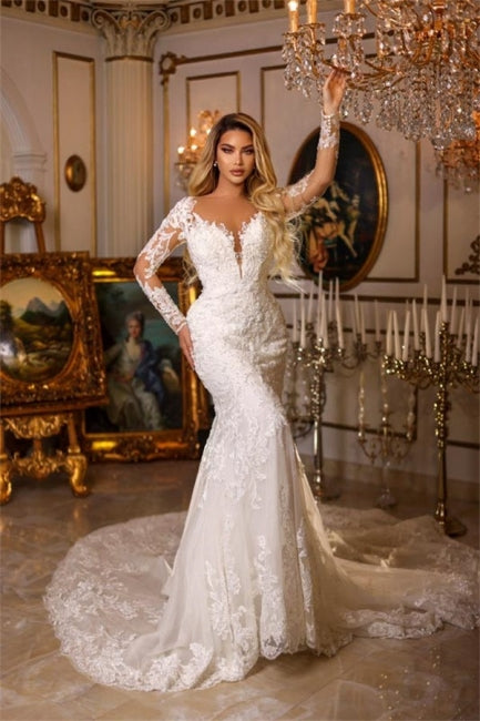 Elegant Long Mermaid V-neck Lace Wedding Dresses With Long Sleeves Hover Image