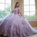Excellent Long Ball Gown Off-the-shoulder Tulle Quinceanera Dress by BIZTUNNEL