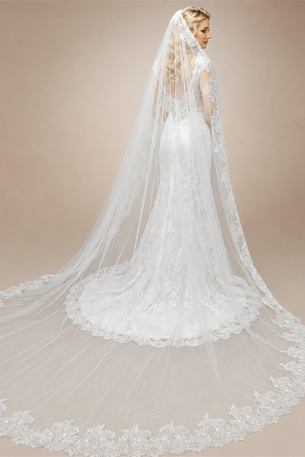Customized Long Mantilla Veil with Eyelash Lace, 2.5m/3m Ivory Veil with Hidden Comb, Chantilly Eyelash Lace Wedding Veil