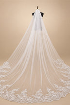 Wholesale white Ivory 3*3 Meter Cathedral wedding veils Lace Appliques Bridal veil