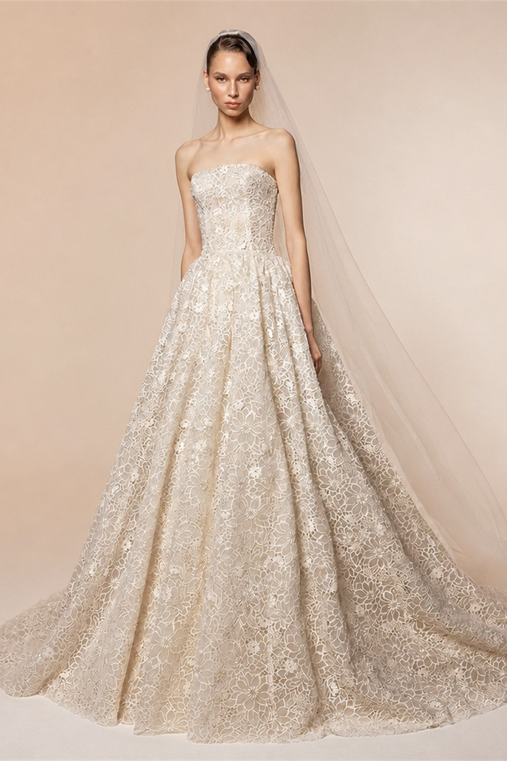 Regal Champagne Strapless Allover Lace Ball Gown Wedding Dress with Veil ZP081