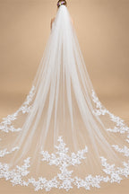 Real Photo 3m One Layer Bridal Veil with Comb White Lace Edge Ivory Appliqued Cathedral Wedding Veil for Brides