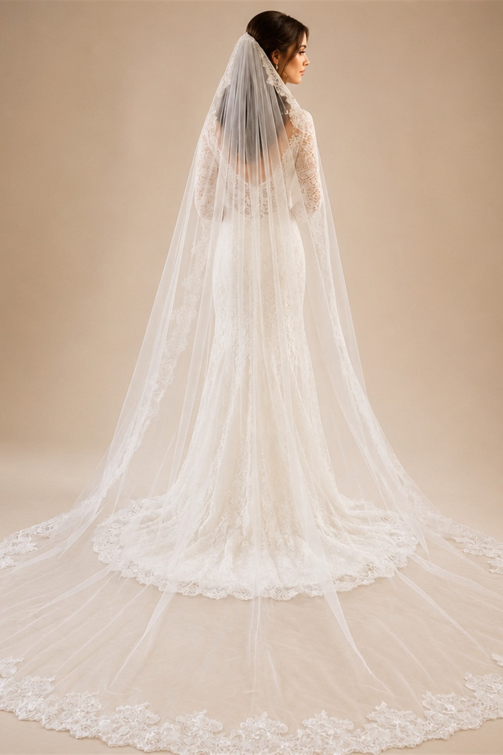 Customized Long Mantilla Veil with Eyelash Lace, 2.5m/3m Ivory Veil with Hidden Comb, Chantilly Eyelash Lace Wedding Veil