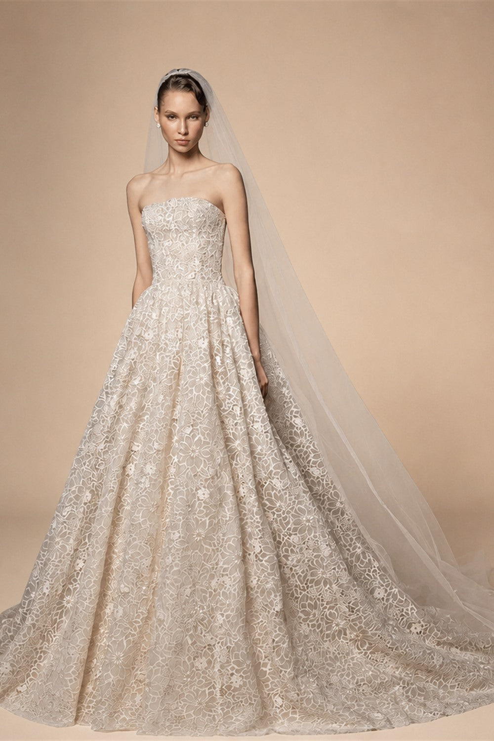 Regal Champagne Strapless Allover Lace Ball Gown Wedding Dress with Veil ZP081