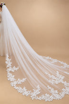 Real Photo 3m One Layer Bridal Veil with Comb White Lace Edge Ivory Appliqued Cathedral Wedding Veil for Brides