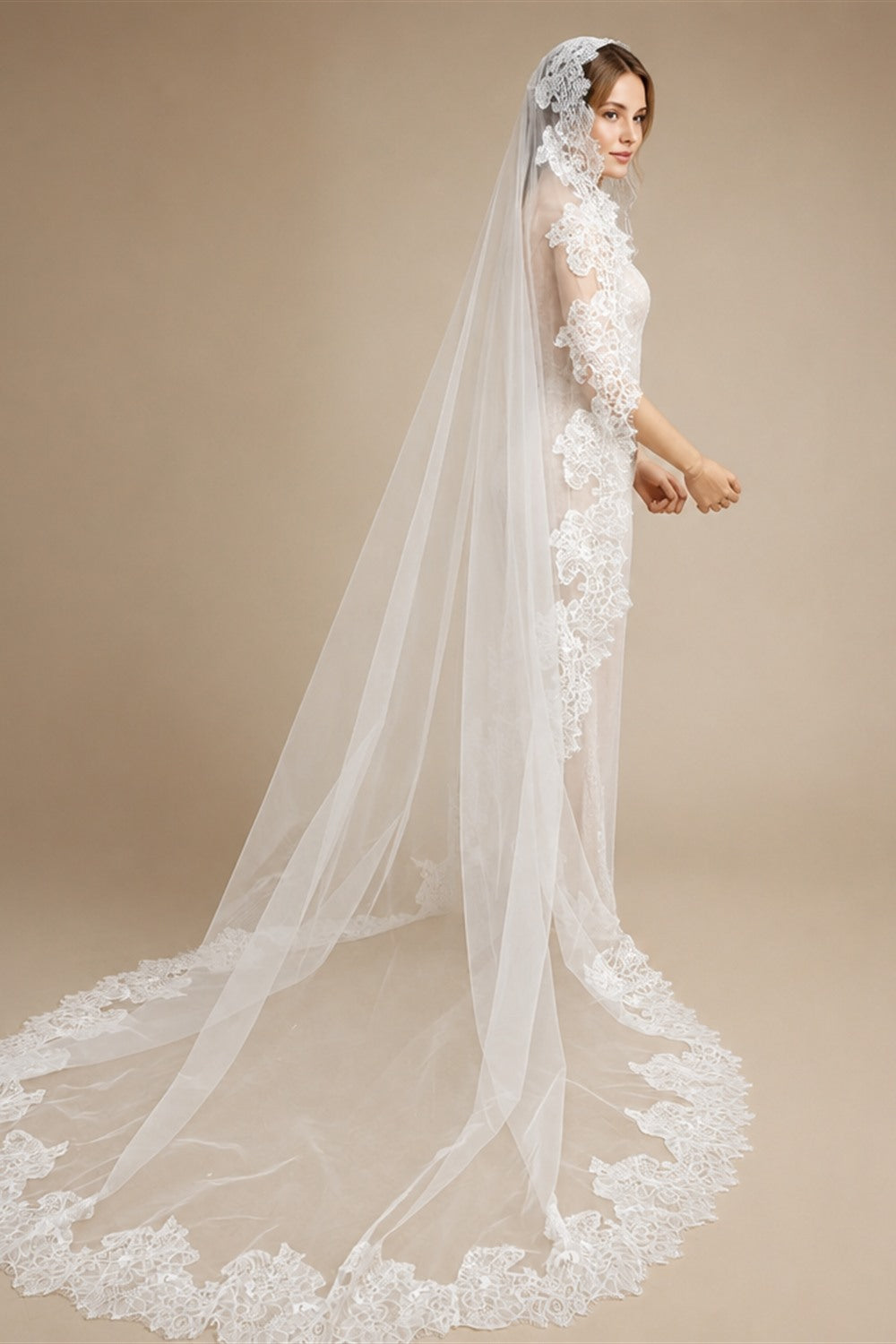 Customized Long Mantilla Veil with Eyelash Lace, 2.5m/3m Ivory Veil with Hidden Comb, Chantilly Eyelash Lace Wedding Veil