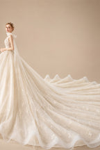 Supper Gorgeous Shiny Crystal Lace Ball Gown Wedding Dress Wih Chapel Train V-neck Bow Shoulder Princess Bridal Dresses