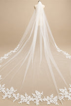 Customized Long Lace Wedding Veil 3 Meters Long White Ivory Cathedral Bridal Veil with Comb Wedding Accessories Bride Headpieces