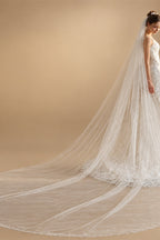 V393 One layer Bridal Veil - White Long Train Wedding Tulle Headpiece for Brides With Comb