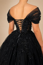 Black Luxury Gothic Wedding Dress  Sheer Corset 3D Floral Tulle  ZP027