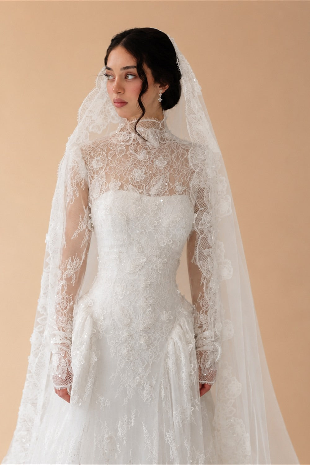 Classic Ivory Lace High Neck Long Sleeve A-Line Wedding Dress with Veil ZP107