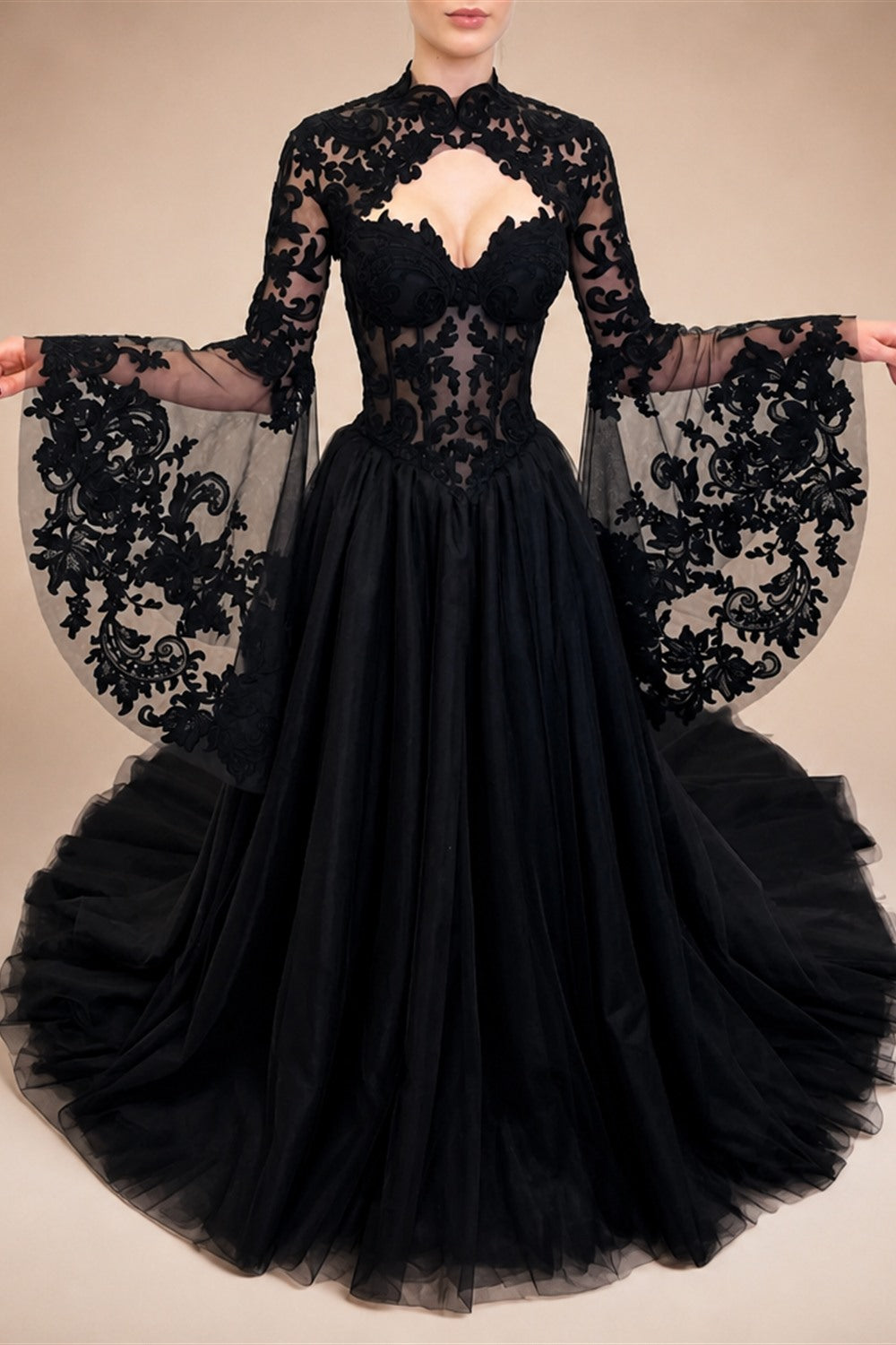 Black Luxury Gothic  Wedding Dress Sheer Lace Ball Gown  ZP029
