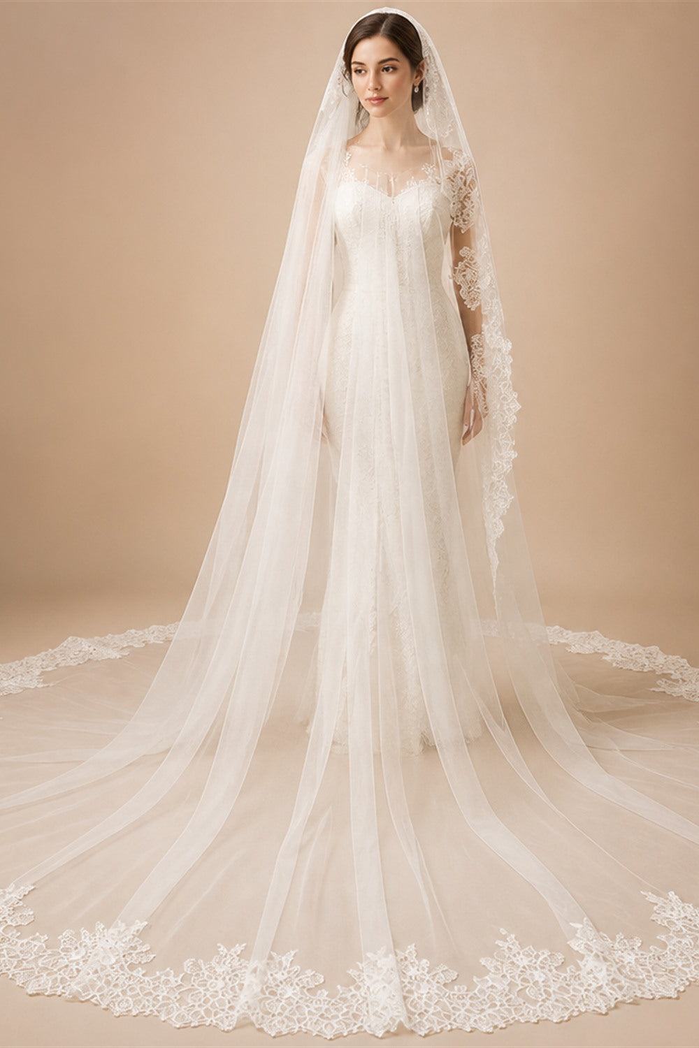 Customized Long Mantilla Veil with Eyelash Lace, 2.5m/3m Ivory Veil with Hidden Comb, Chantilly Eyelash Lace Wedding Veil