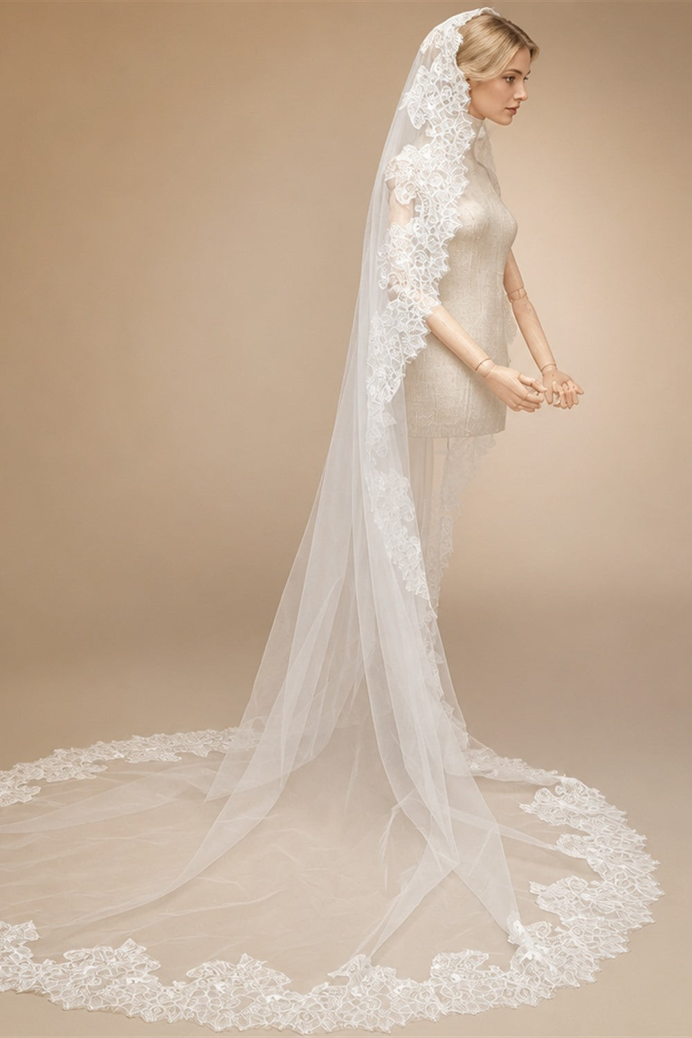 Customized Long Mantilla Veil with Eyelash Lace, 2.5m/3m Ivory Veil with Hidden Comb, Chantilly Eyelash Lace Wedding Veil