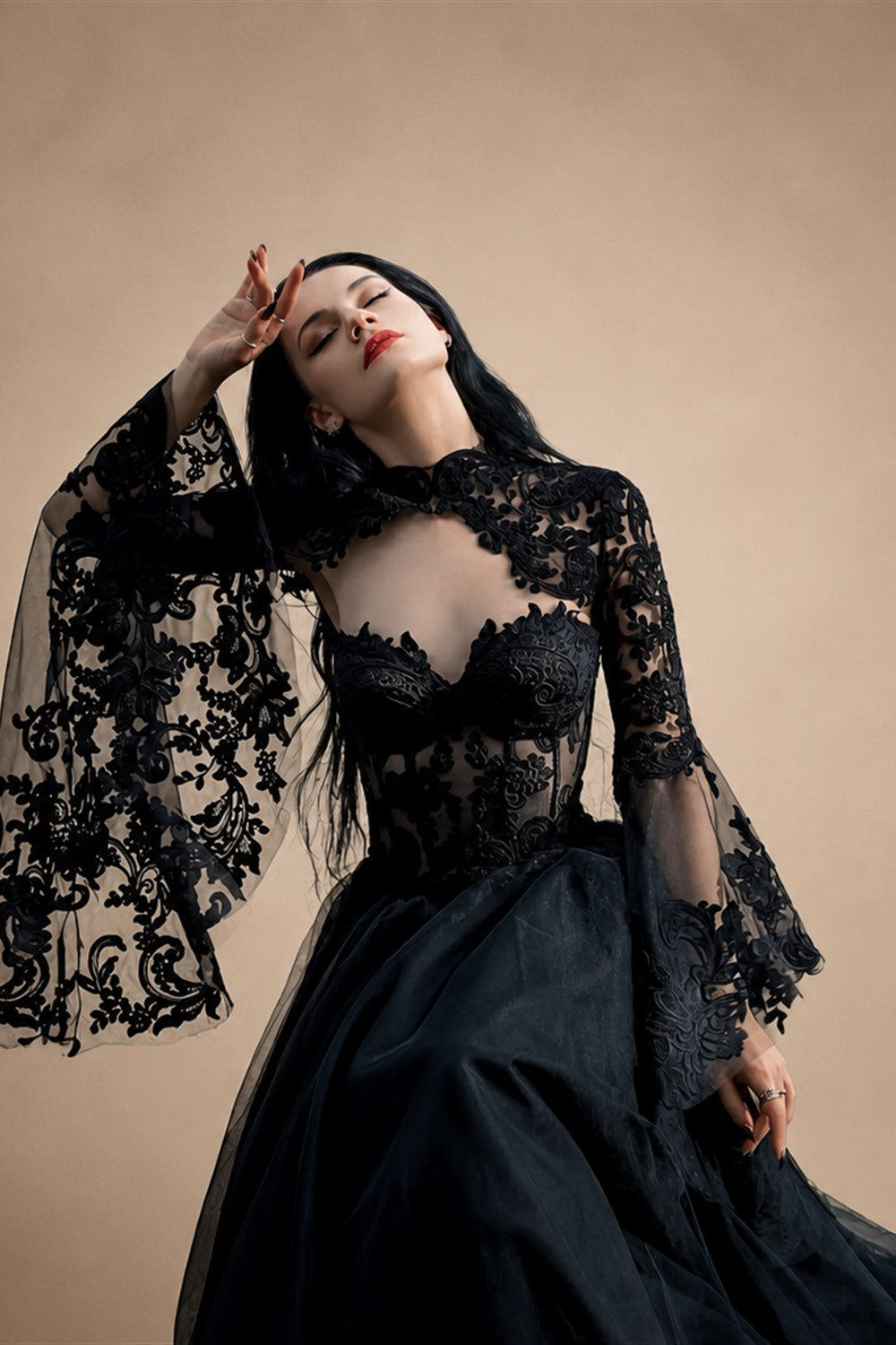Black Luxury Gothic  Wedding Dress Sheer Lace Ball Gown  ZP029