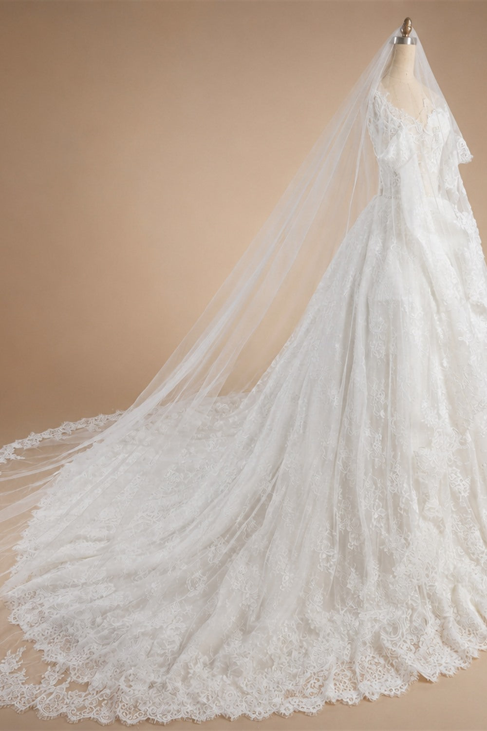 Off White Luxury Ball Gown Wedding Dress Beaded With Veil ZP035
