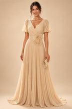 A-Line/Princess V-Neck Chiffon Maxi Mother of the Bride & Groom Dresses with Feather Trim & Pleats (SHI22501651)